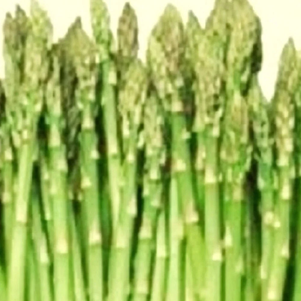 Asparagus Seeds - Mary Washington - Heirloom NON-GMO - Asparagus officinalis - Vegetable Garden Seeds