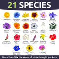 Bulk Wildflower Seeds - 1/4 Pound Bag - Annual Quick Blooming Mix - Over 30,000 Seeds - Perfect for Gardens and Landscapes