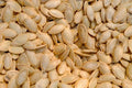 Delicata Squash Seeds for Planting - 20 Jester Seeds - Cucurbita Pepo - Heirloom, Organic, Non-GMO