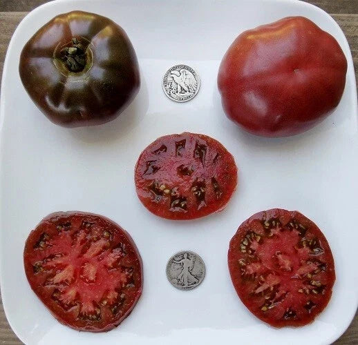 Paul Robeson Tomato Seeds - 25 Fresh Seeds - Delicious Purple Variety - Solanum lycopersicum