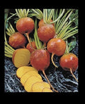 Golden Beet Seeds - Heirloom Variety, Treated, 55 Days, Burpee's - 30/100/200/400 Bulk