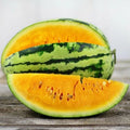 Orangeglo Watermelon Seeds | Heirloom Non-GMO | Organic Gardening | Citrullus lanatus