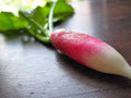 Heirloom Root Vegetable Seed Garden Collection, 5 Varieties, Organic Seeds for Home Gardening, Perfect for Growers