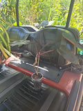 XL Rare Philodendron Black Majesty Plant, Fully Rooted, Ships from FL, Philodendron 'Black Majesty'