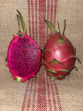 Mature Dragon Fruit Cuttings - Natural Mystic Variety - Hylocereus undatus
