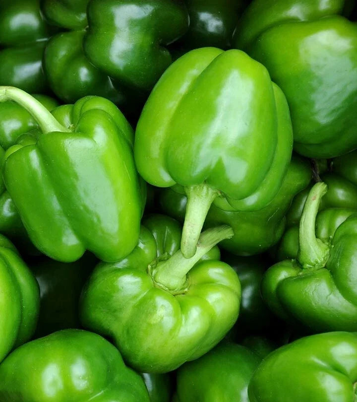 Sweet Pepper Seeds - Bushel Buster Bell - Green - 5.1 - Set of 50+ Seeds - Non-California Shipping