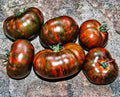 Chocolate Stripe Tomato Seeds - 120+ Heirloom Organic Non-GMO - Rare Variety for Home Gardening - Solanum lycopersicum