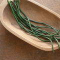 Python Yard Long Bean Seeds - 20 Seeds - Organic, Heirloom Variety - Vigna unguiculata subsp. sesquipedalis