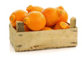 Tangelo Orange Seeds - 5+ Pack for Garden Planting - Citrus reticulata × Citrus paradisi