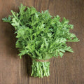 300 Shungiku Seeds - Edible Chrysanthemum Asian Greens, Choy Suy-Tongho, Perfect for Culinary Gardens, Easy to Grow
