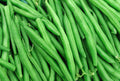String Bean Seeds | 50+ Non-GMO Blue Lake Heirloom | Bush Variety for Home Gardening | Phaseolus vulgaris