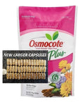 Osmocote Plus Root Tabs 000 Large Capsules Aquarium Plant Fertilizer for Healthy Growth & Boost, Nutrient-Rich Formula