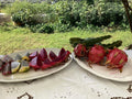 Dragon Fruit Cuttings - 8" - 12" Size - Multiple Varieties - Hylocereus spp.