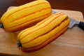Delicata Winter Squash Seeds - Fresh Seed for Planting - Cucurbita pepo - Organic, Heirloom Variety