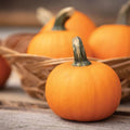Wee-B-Little Pumpkin Seeds for Planting, 30 Seeds, Miniature Orange Pumpkins, Cucurbita pepo