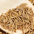 Cumin Herb Seeds for Planting, Heirloom Non-GMO, Organic Cuminum cyminum, Free Shipping