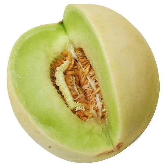 Honeydew Seeds - Organic Heirloom Green Flesh Winter Melon - NON-GMO - 50+ Seeds