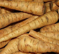 PARSNIP SEEDS 200+ Harris Early Model Vegetable Garden Culinary Seeds