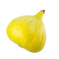 Desert King Fig Seeds - 100+ Premium Seeds for Garden Planting - Ficus carica - USA Grown, Free Shipping