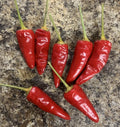 Paprika Spice Pepper Seeds - Heirloom Non-GMO Capsicum Variety - 25 Seeds