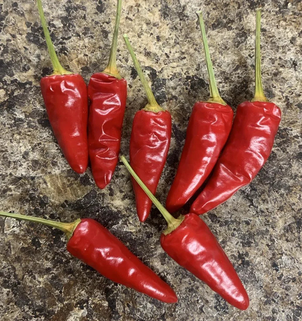Paprika Spice Pepper Seeds - Heirloom Non-GMO Capsicum Variety - 25 Seeds