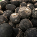 Spanish Black Radish Seeds - Non-GMO - 1,000 Seeds - Raphanus sativus var. niger