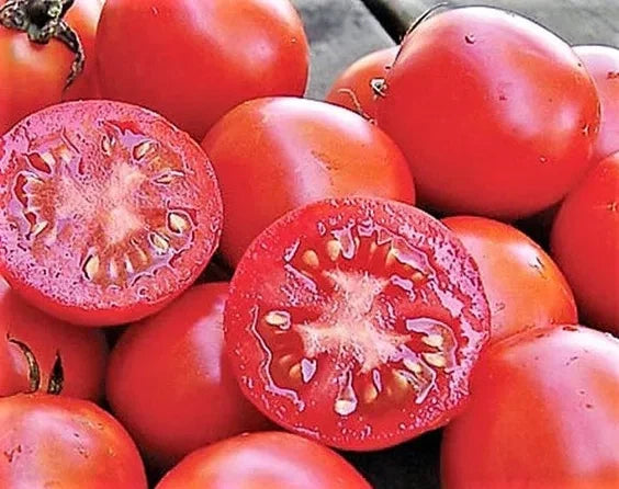 Siberian Tomato Seeds - 120+ Heirloom Organic Non-GMO Seeds - Lycopersicon esculentum