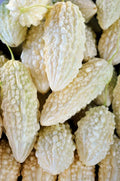 Exotic Bitter Gourd Seeds - 10 Pack - White Variety - Momordica charantia for Planting Bitter Melon