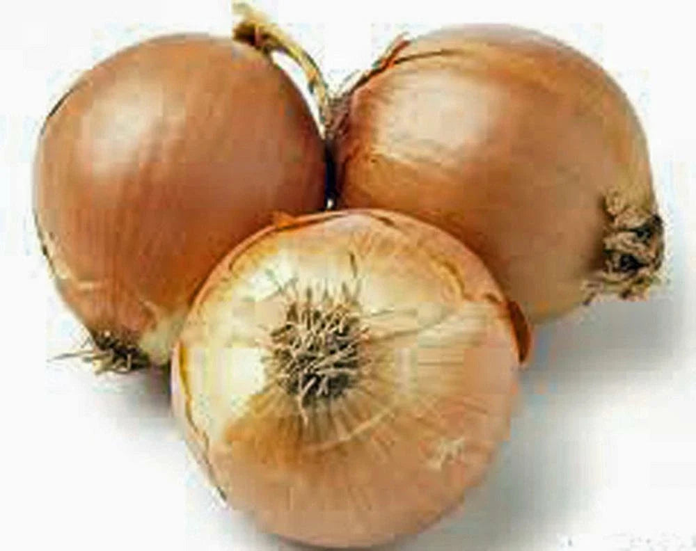Onion Seeds - 100 Count, Spanish Yellow Heirloom, Non-GMO, Allium cepa