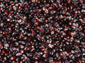 Dakota Black Popcorn Seeds - Fresh Popcorn Seed Variety - Zea mays everta - Non-GMO, Heirloom, Free Shipping
