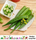 Okra Seeds - Perkins Long Pod - Heirloom, Non-GMO, High Yield - 50 Seeds for Pickling & Gumbo