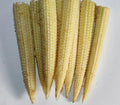 Sweet Corn Seed - Mini Sweet Variety - Fresh Seeds - Zea mays - Non-GMO, Heirloom, Garden Planting