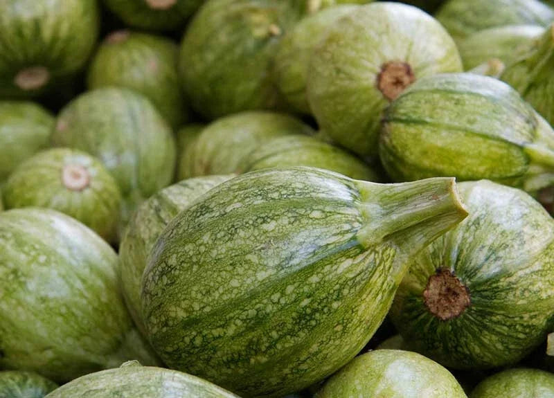25+ Ronde de Nice Squash Seeds for Garden Planting - Cucurbita pepo - Heirloom Vegetable Seeds - USA