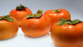 Fuyu Persimmon Tree Seedlings 6"-1' Diospyros Kaki Live Plants Bare Root Hardy Fruit Trees