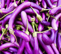 Eggplant Seeds for Planting | 250 Long Purple Eggplant Seeds | Solanum melongena | Garden Vegetable Seeds