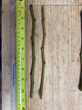 Fruit Tree Cuttings - Apple, Plum, Peach, Fig, Cherry, Mulberry - Scion Wood for Grafting (Malus, Prunus, Ficus, Morus)