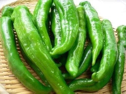 Sweet Manganji Premium Pepper Seeds - 25 Fresh Quality Seeds - Capsicum annuum