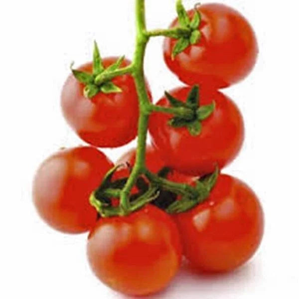 Sweet Large Cherry Tomato Seeds, Heirloom Variety, Non-GMO, 500+ Seeds, Perfect for Home Gardening