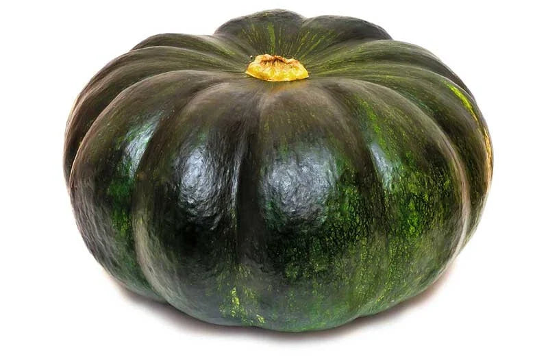 Cupcake Squash Seeds - 25+ Pack - Heirloom Variety - Cucurbita pepo - USA Grown, Home Garden Planting