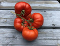Sub Arctic Plenty Tomato Seeds - 120+ Heirloom Organic Non-GMO - Fast Growing (45-50 Days) - Perfect for Home Gardening