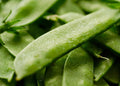 Mammoth Melting Sugar Snow Pea Seeds - NON-GMO Heirloom - Garden Vegetable Seeds - Pisum sativum