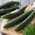 Suyo Long Cucumber Seeds - 50+ Heirloom Organic Non-GMO - Rare Cucumis sativus
