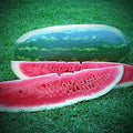 Congo Watermelon Seeds - 12 Non-GMO Heirloom Seeds - Fresh Watermelon (Citrullus lanatus)