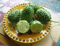 West Indian Gherkin Seeds - 100+ Heirloom Burr Spike Cucumber Seeds - Rare Variety