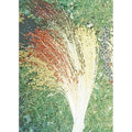 Broom Corn Seeds - Multicolor, Non-GMO Heirloom Variety - Zea mays subsp. mays