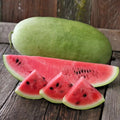Charleston Grey Watermelon Seeds - 10+ Heirloom Organic Non-GMO - Giant Variety - Citrullus lanatus