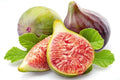 Celeste Fig Seeds - 100 Count for Garden Planting - Ficus carica - USA Grown - Free Shipping