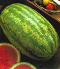 Klondike Blue Ribbon Stripe Watermelon Seeds - Heirloom Variety for Home Gardening - Citrullus lanatus
