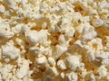 Popcorn Seeds - Pennsylvania Dutch Butter Variety - Fresh Non-GMO Seeds for Planting - Free Shipping