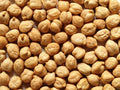 Garbanzo Bean Seeds - 200 Count for Growing Chickpeas - Cicer arietinum - Organic Heirloom Variety